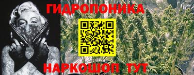 тгк Кулебаки