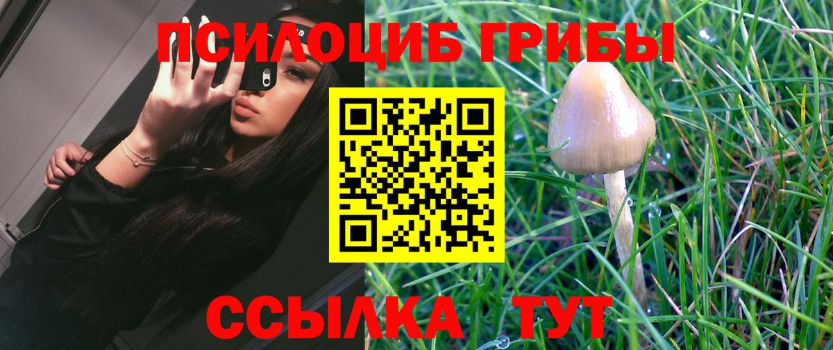 Псилоцибиновые грибы Magic Shrooms  Псилоцибиновые грибы мухоморы  Ефремов  Вход с VPN 
